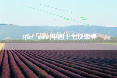 阿拉尔中国十七块金牌