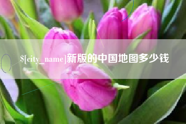 阿拉尔新版的中国地图多少钱