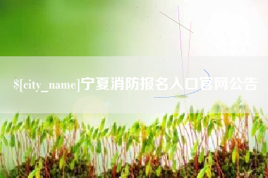 阿拉尔宁夏消防报名入口官网公告
