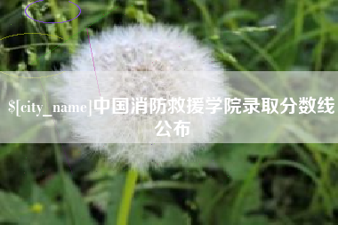 阿拉尔中国消防救援学院录取分数线公布