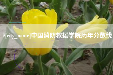 阿拉尔中国消防救援学院历年分数线