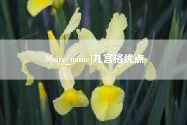 阿拉尔九宫格优点