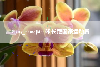 阿拉尔5000米长跑国家运动员