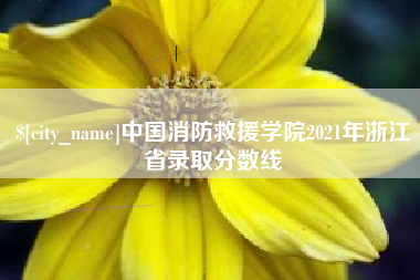阿拉尔中国消防救援学院2021年浙江省录取分数线