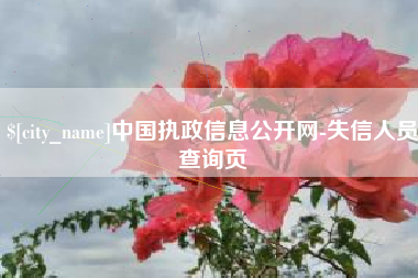 阿拉尔中国执政信息公开网-失信人员查询页