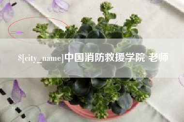 阿拉尔中国消防救援学院 老师