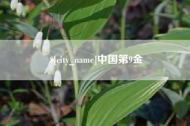 阿拉尔中国第9金