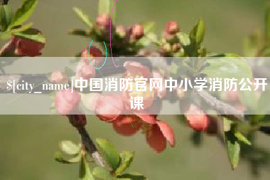 阿拉尔中国消防官网中小学消防公开课