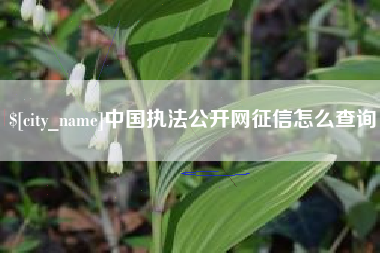 阿拉尔中国执法公开网征信怎么查询