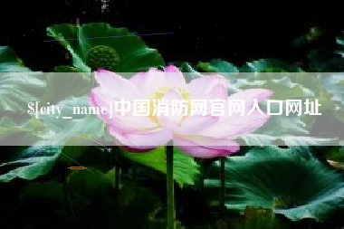 阿拉尔中国消防网官网入口网址