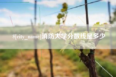 阿拉尔消防大学分数线是多少