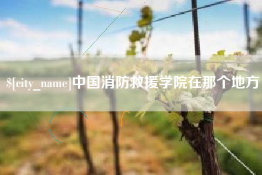 阿拉尔中国消防救援学院在那个地方