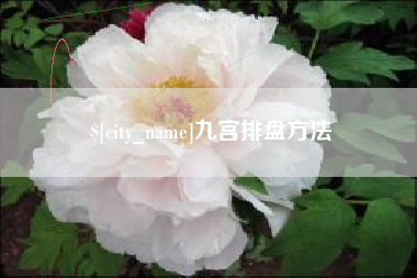 阿拉尔九宫排盘方法