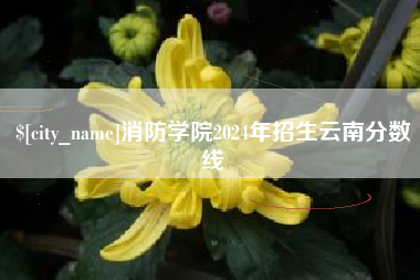 阿拉尔消防学院2024年招生云南分数线