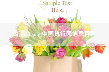 阿拉尔中国执行网信息官网