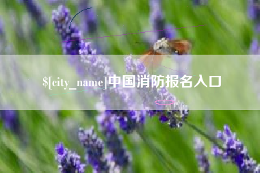 阿拉尔中国消防报名入口