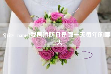 阿拉尔我国消防日是哪一天每年的哪一天
