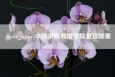 阿拉尔中国消防救援学院是在哪里