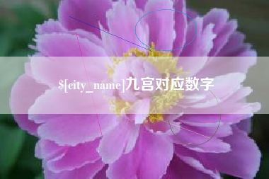 阿拉尔九宫对应数字
