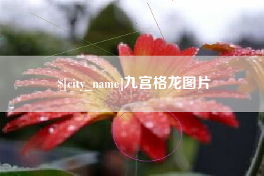 阿拉尔九宫格龙图片