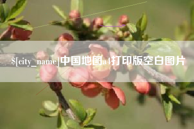 阿拉尔中国地图a4打印版空白图片