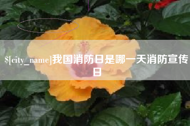 阿拉尔我国消防日是哪一天消防宣传日