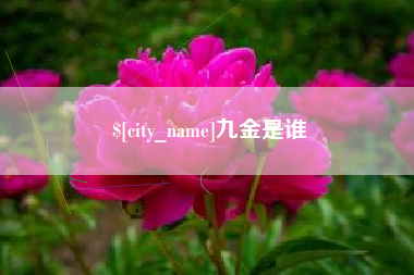 阿拉尔九金是谁