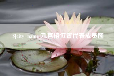 阿拉尔九宫格位置代表成员图
