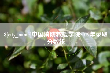 阿拉尔中国消防救援学院2019年录取分数线
