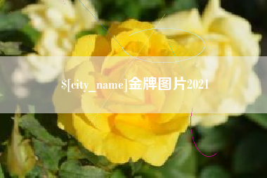 阿拉尔金牌图片2021