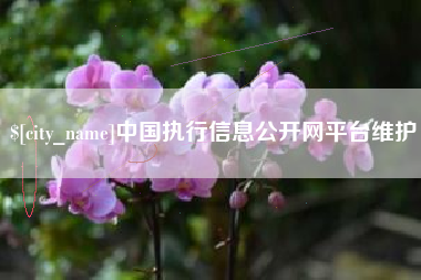 阿拉尔中国执行信息公开网平台维护