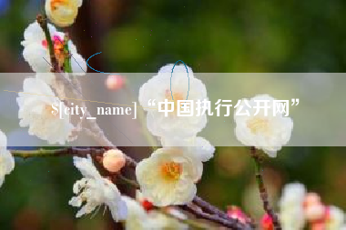 阿拉尔“中国执行公开网”