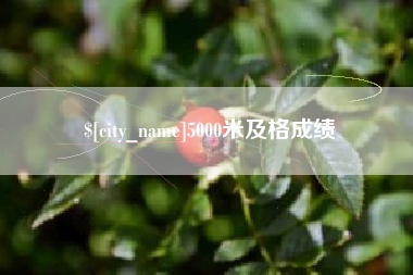 阿拉尔5000米及格成绩