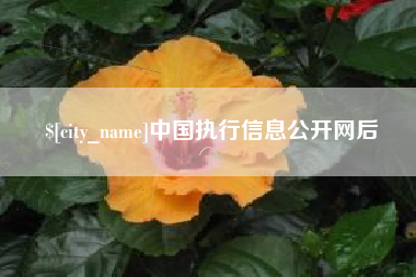 阿拉尔中国执行信息公开网后