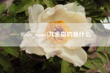 阿拉尔九金指的是什么