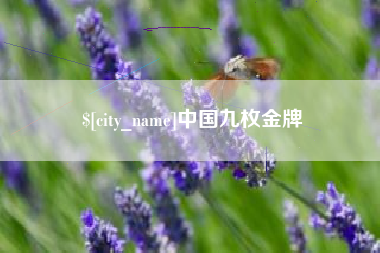 阿拉尔中国九枚金牌
