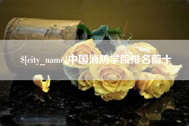 阿拉尔中国消防学院排名前十