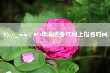 阿拉尔2020年消防考试网上报名时间