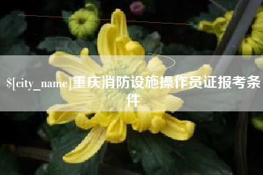阿拉尔重庆消防设施操作员证报考条件