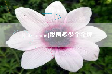 阿拉尔我国多少个金牌