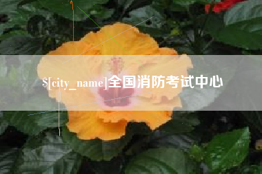 阿拉尔全国消防考试中心