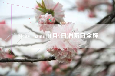 阿拉尔11月9日消防日全称