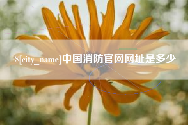阿拉尔中国消防官网网址是多少