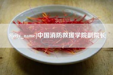 阿拉尔中国消防救援学院副院长