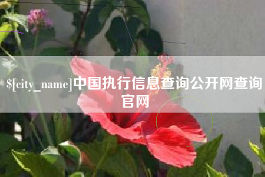 阿拉尔中国执行信息查询公开网查询官网