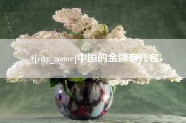 阿拉尔中国的金牌有几名