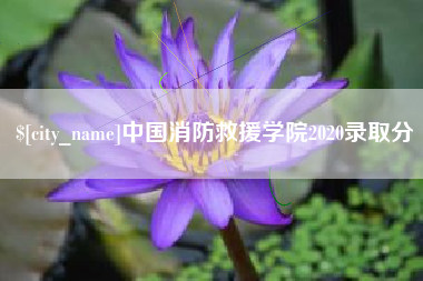 阿拉尔中国消防救援学院2020录取分