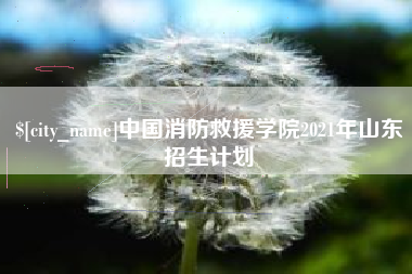 阿拉尔中国消防救援学院2021年山东招生计划