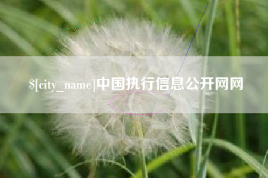 阿拉尔中国执行信息公开网网