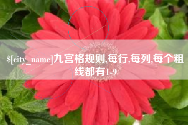 阿拉尔九宫格规则,每行,每列,每个粗线都有1-9